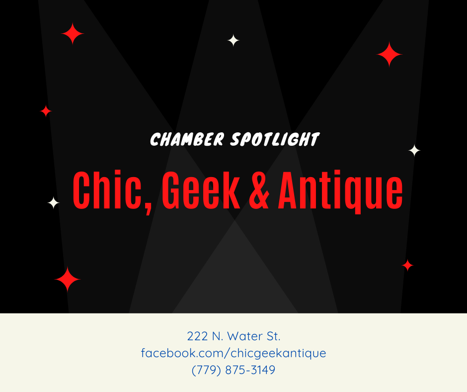 Chamber Spotlight – Chic, Geek & Antique